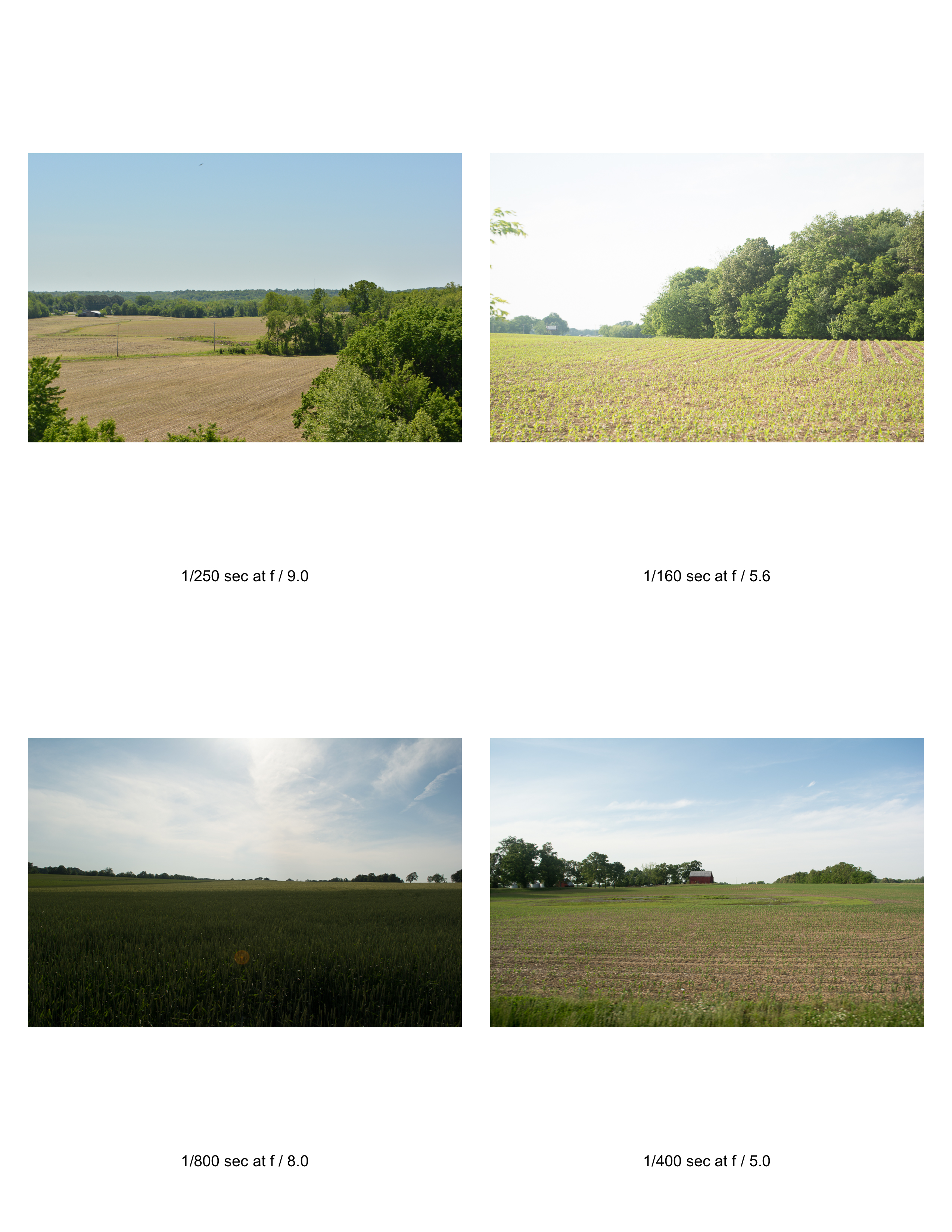 Thumbnail Image 1